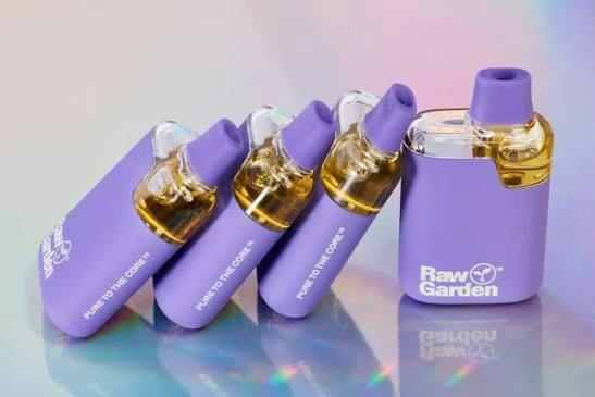 RAW GARDEN - PURPLE PUNCH - INDICA - AIO VAPE - 1 g