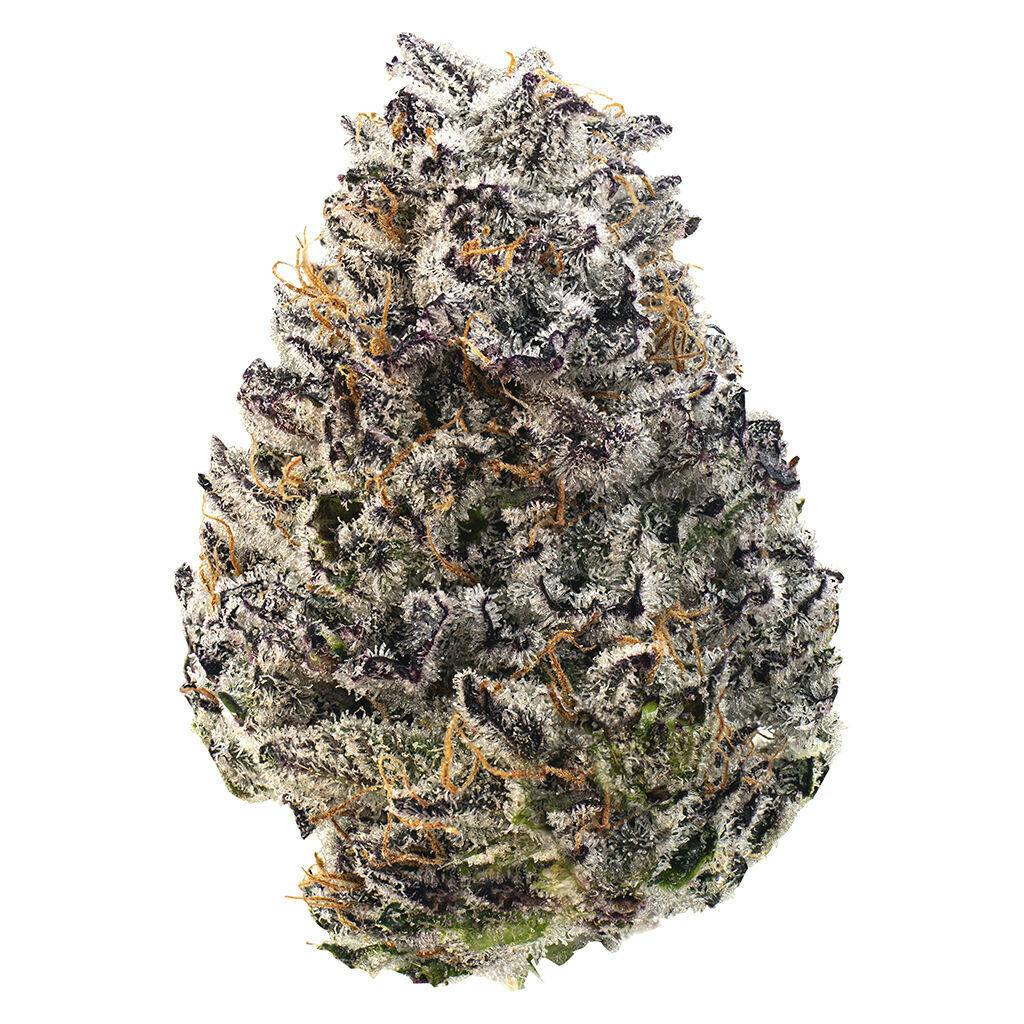 Current - Banana Daddy - 3.5g