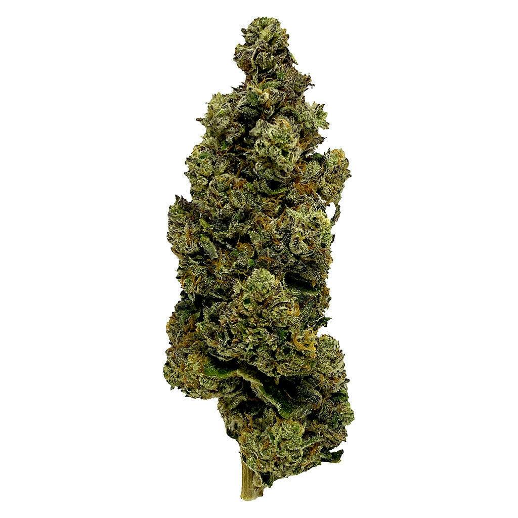 Ostara Medical - Long Valley Legend - 3.5g
