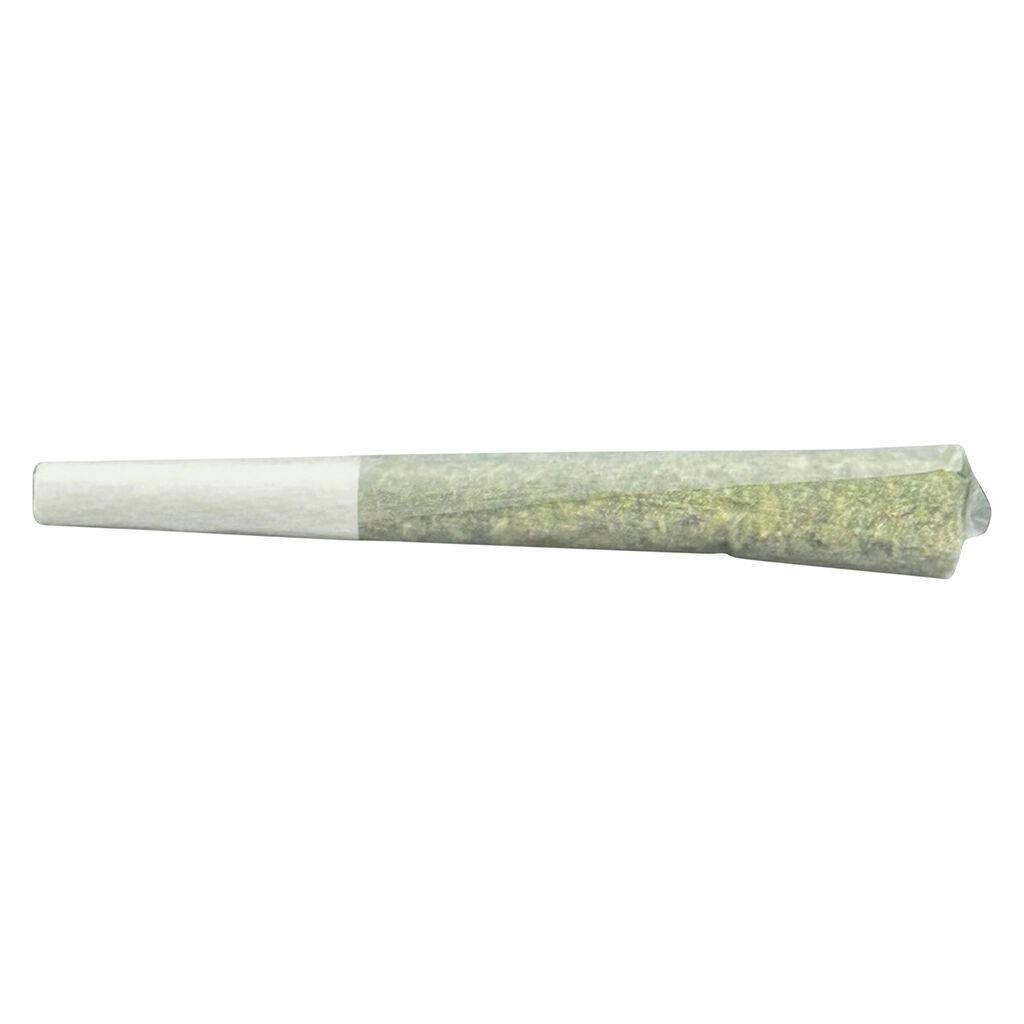 Terra Labs - GMO Infused Pre-Roll - 1x1g