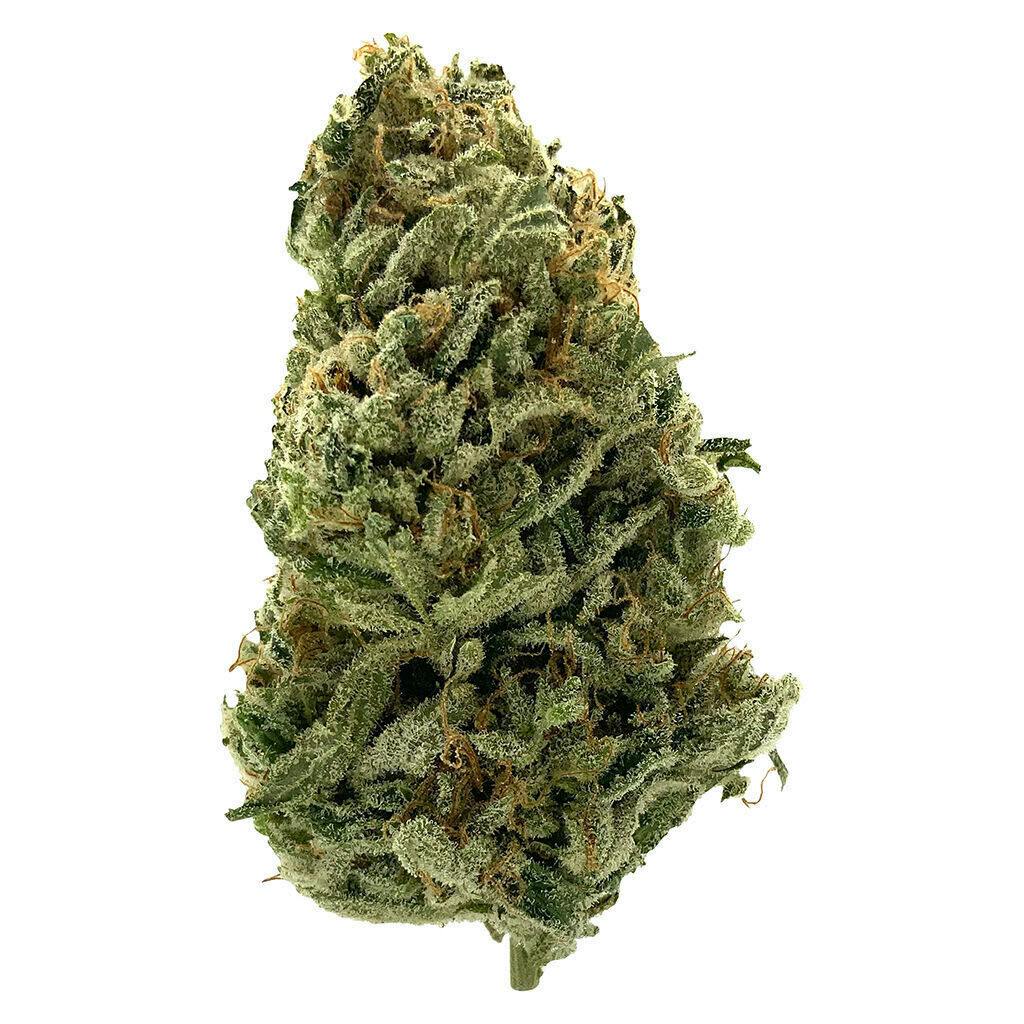 Lowkey by MTL Cannabis - Haze 3.5g - Dried Flower