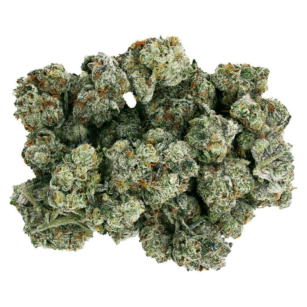 Starting Point! - Frenchy Macaroni 7g Dried Flower