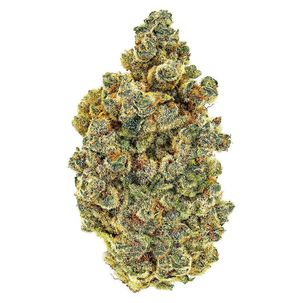 South Point - Masterpiece 3.5g Dried Flower