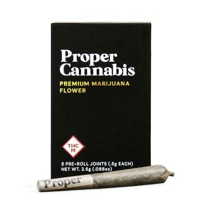Fortissimo Pre-Roll 5-pack