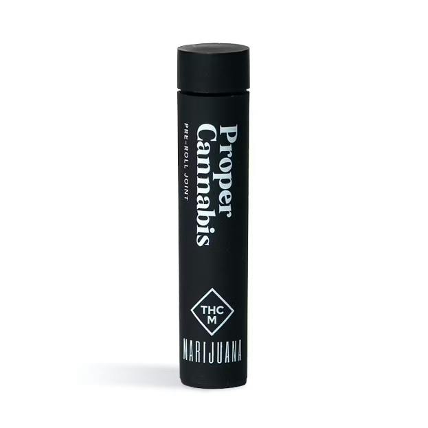 Zsunami #3 Pre-Roll