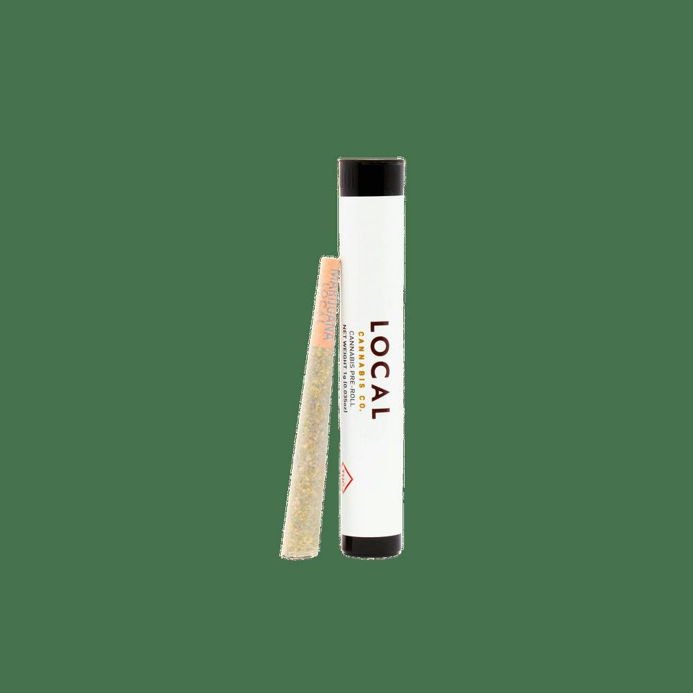 Scotty 2 Hotty Pre-Roll