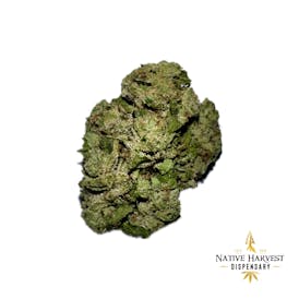 Premium - Your Highness