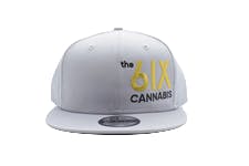 the 6IX Hat - Gray