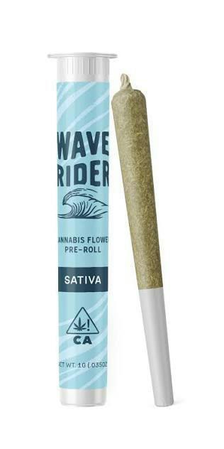 Wave Rider Berry Breath