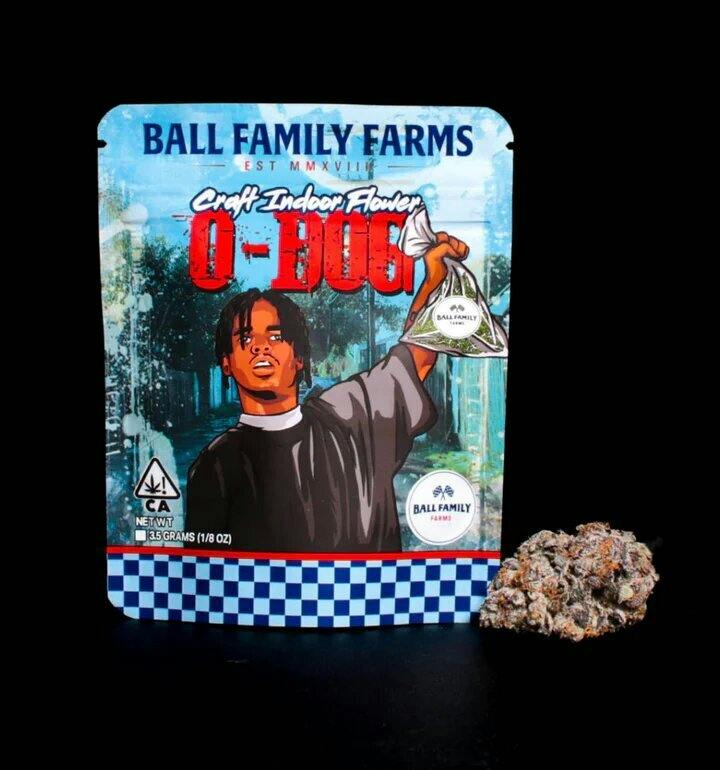 O Dog F5