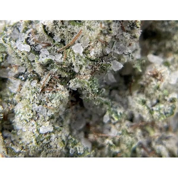Lemonhead: Coated F2