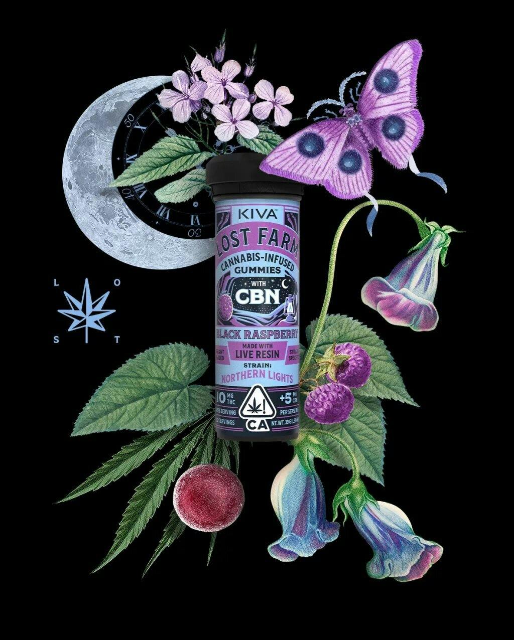 BLACK RASPBERRY: 5 B5