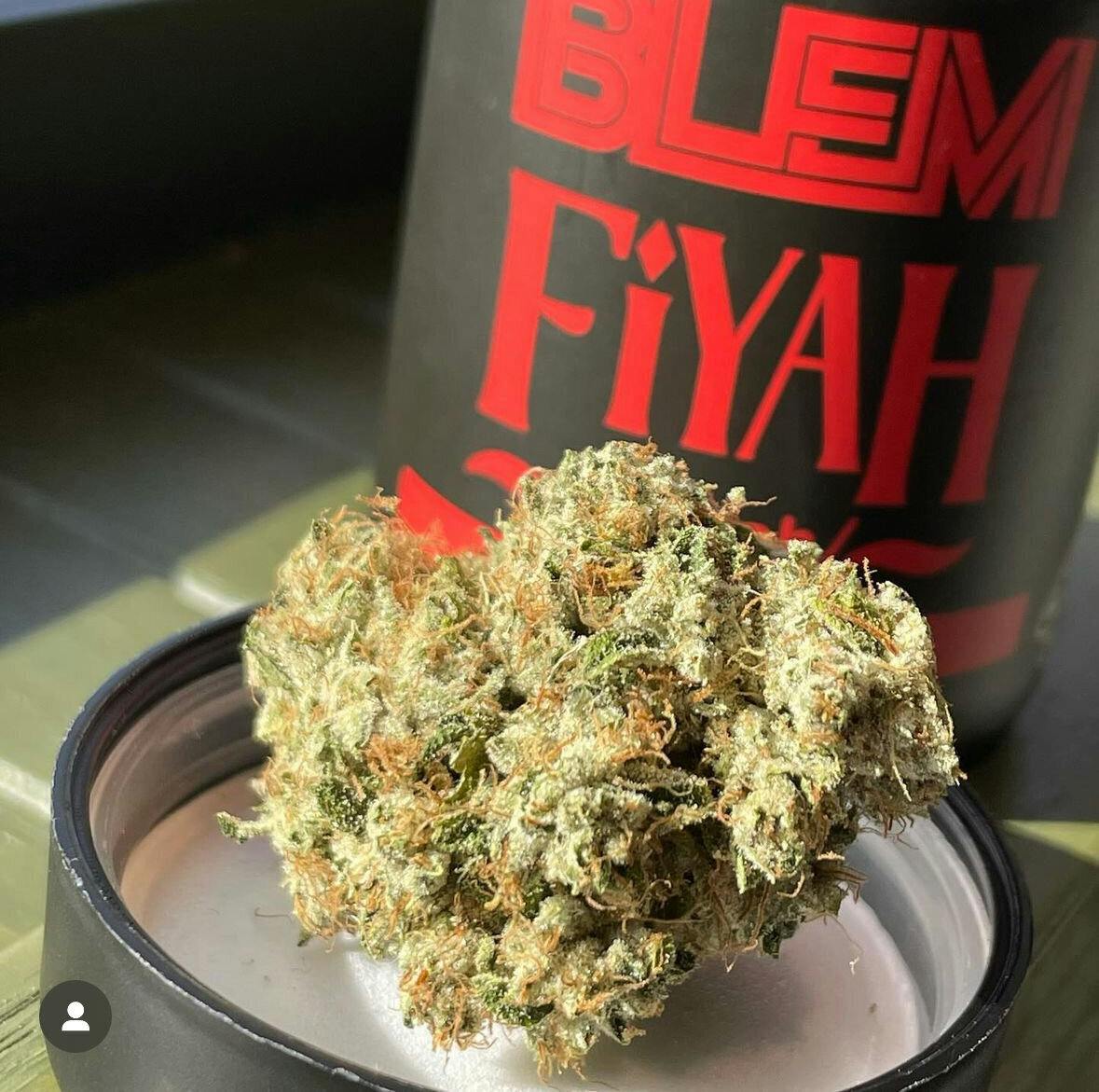 FIYAH SFV OG 1D