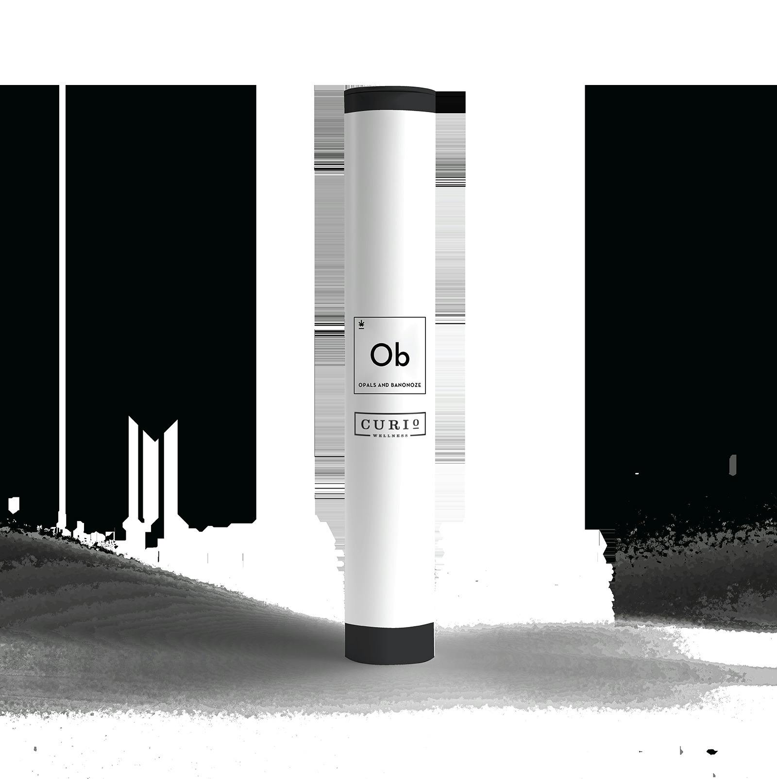 Curio Exclusive | Opals & Banonoze | 0.5g Pre Roll (2pk) at Jenny's Dispensary