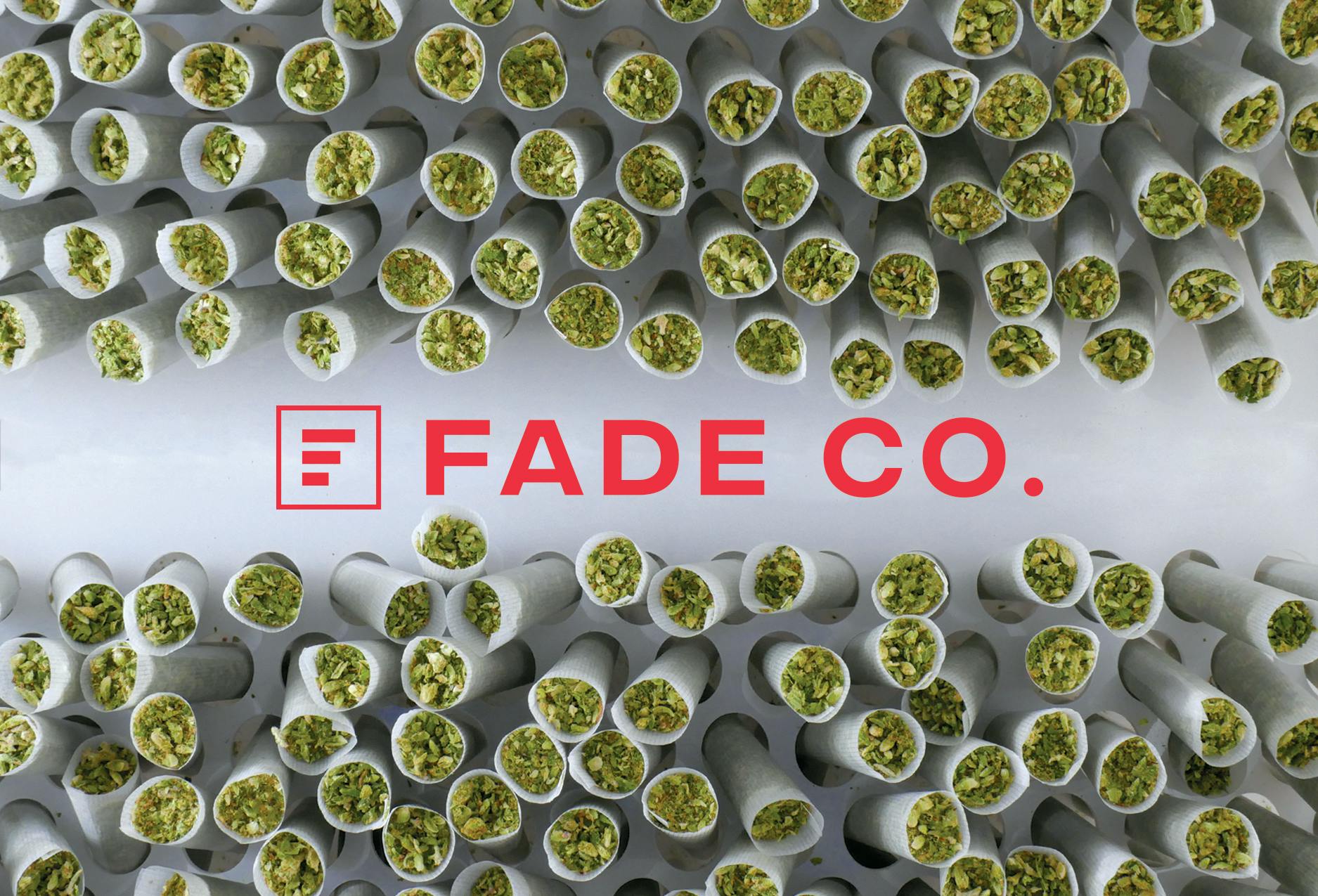 Fade Co. | Violet Fog #2 | 0.5g Pre Roll (2pk) at Jenny's Dispensary