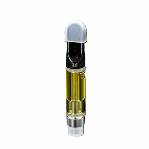 Melon Gum