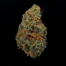 JAR - Golden Goat