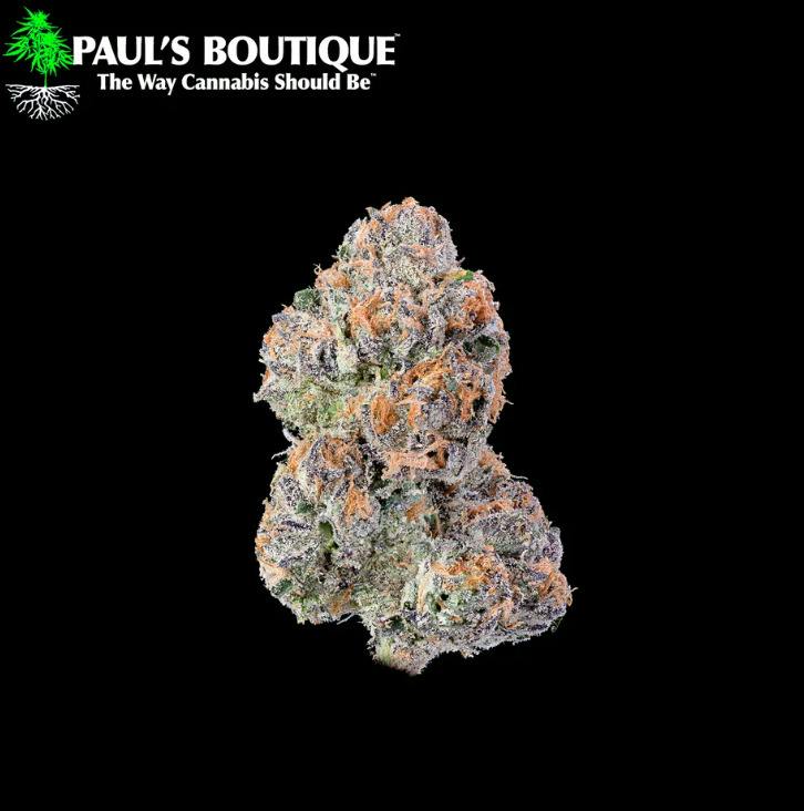 PAUL - Raspberry Smore