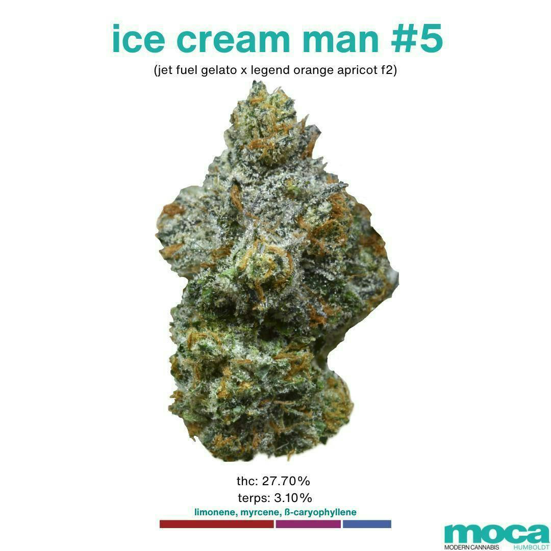 MOCA - ICE CREAM MAN #5 - 7 g