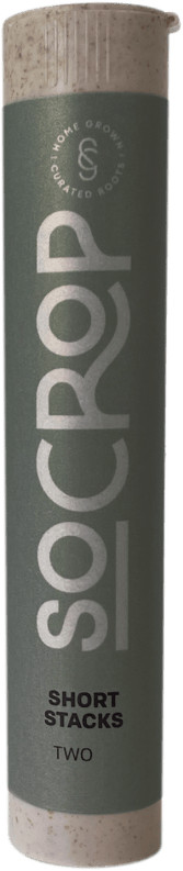 PREROLL - 2(.5G) - QUADSHOT - 2355