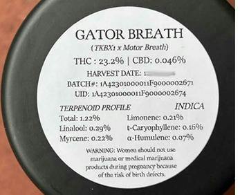 Gator Breath - 1/8ths