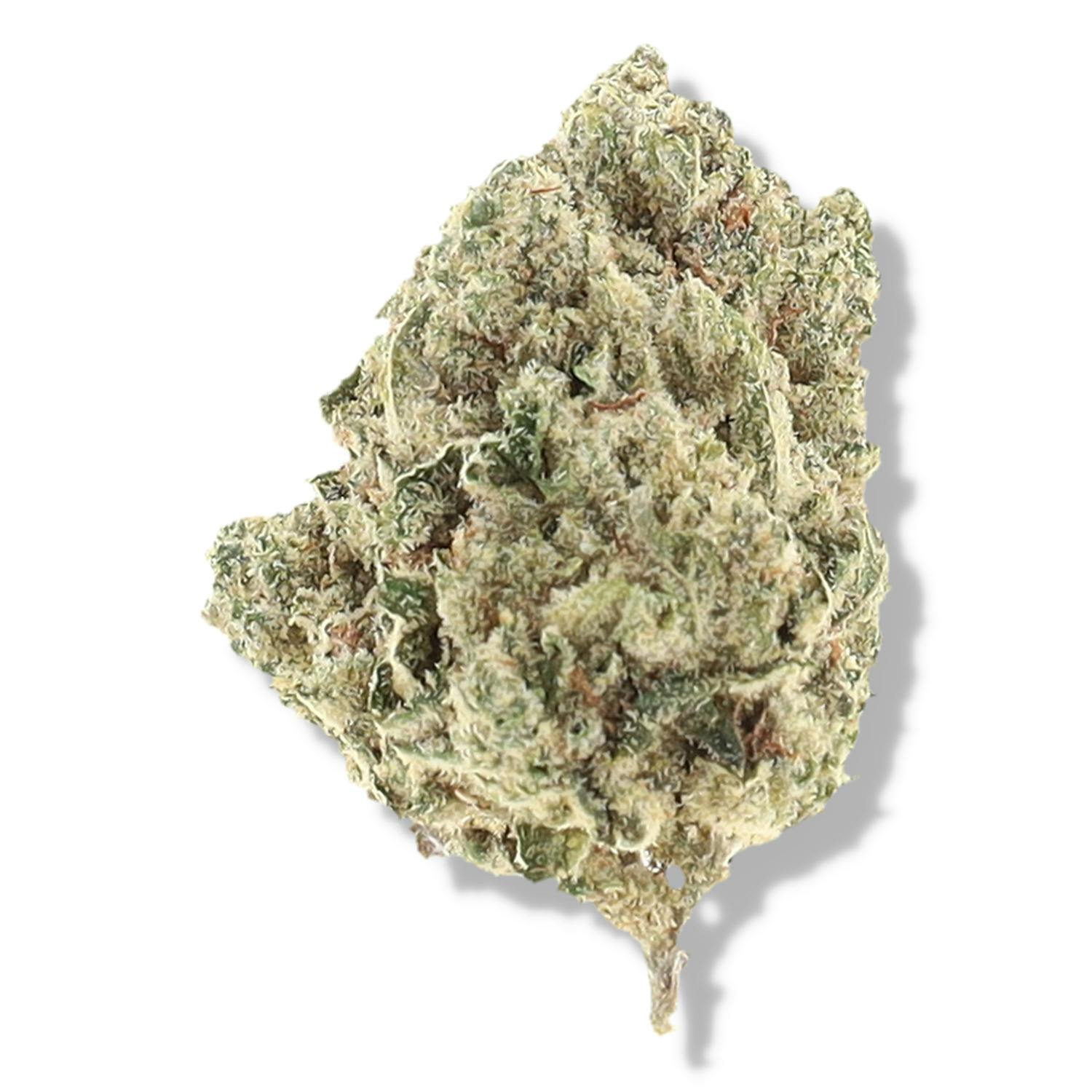 The Deli - GG #4