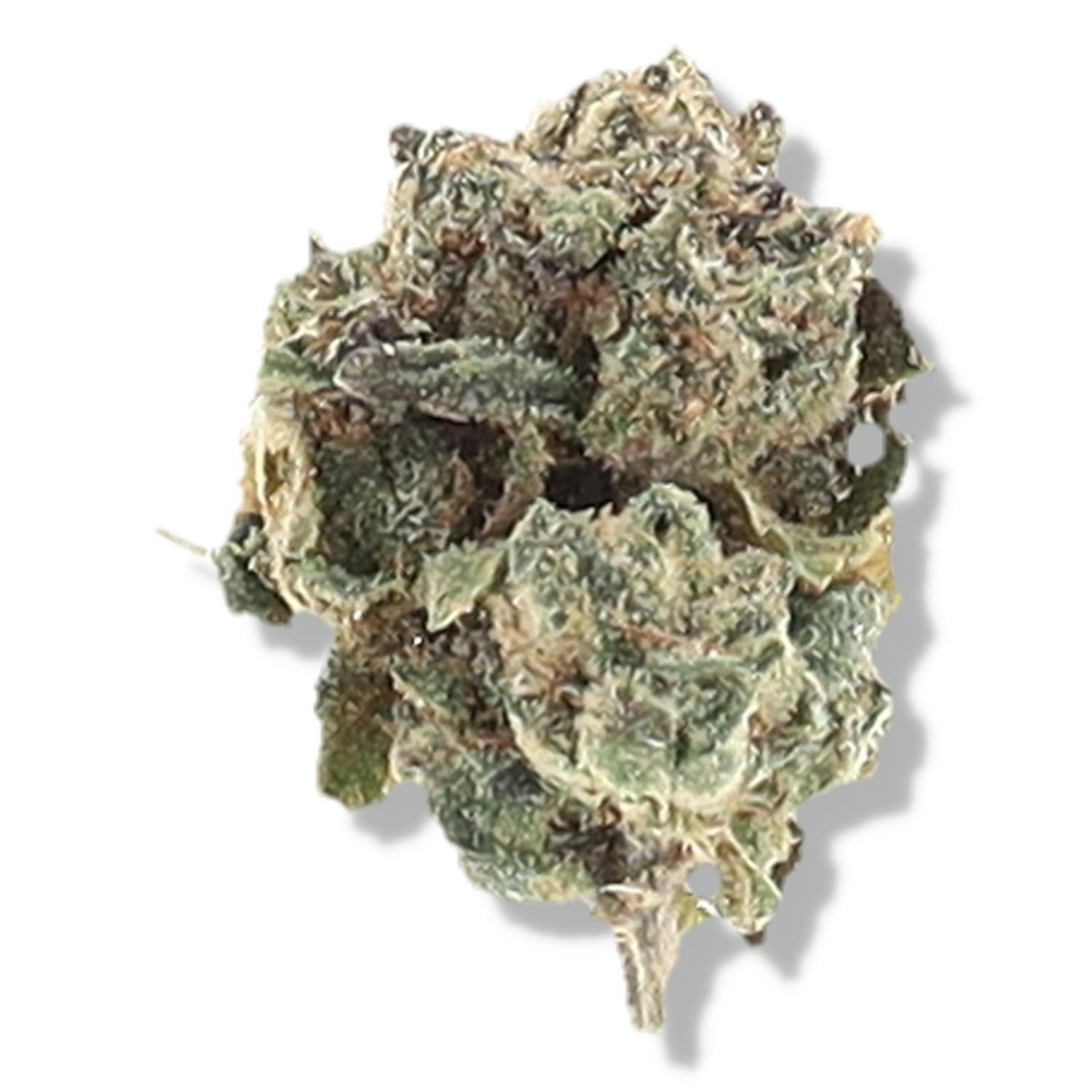 The Deli - Lemon Cherry Gelato Smalls