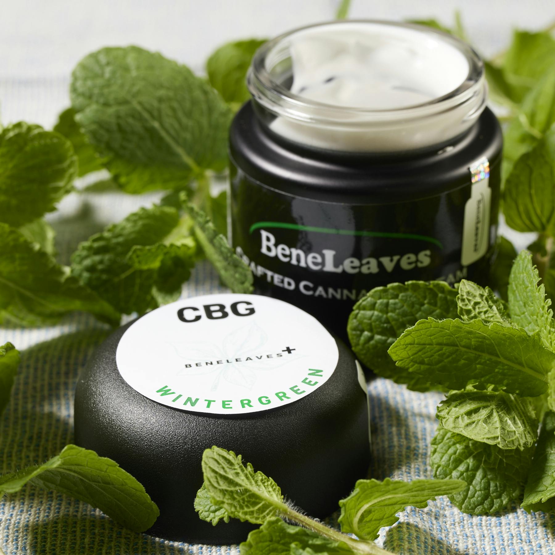 Wintergreen Hypnos