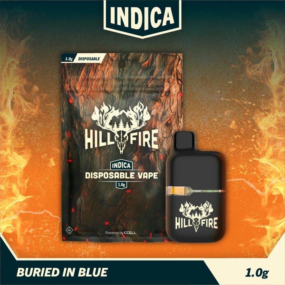 Buried In Blue