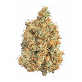 Flower 7g - Mr. Clean 60/40 Sativa Dominant