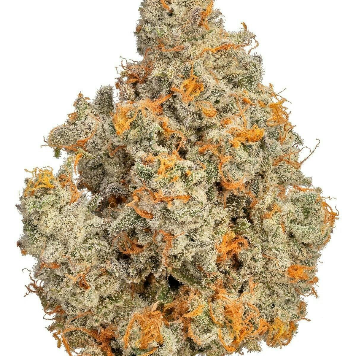 Flower 3.5g - Fruit Loops OG 60/40 Indica Dominant