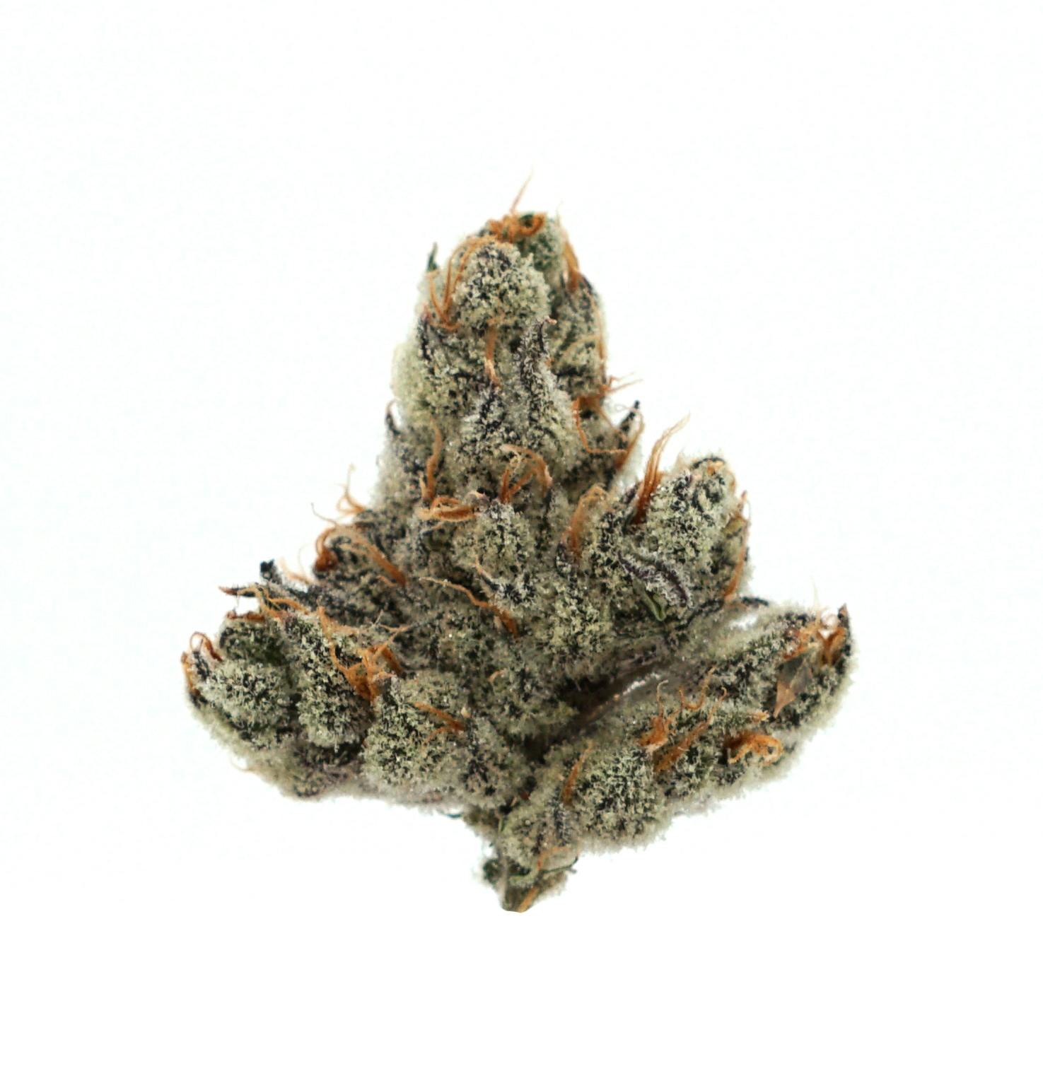 Flower - Nor' Easter 60/40 Indica Dominant by Zero Gravity Cannabis
