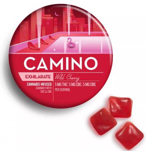 KIVA CAMINO GUMMIES — Wild Cherry