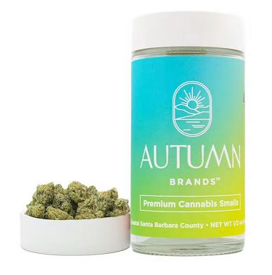 Autumn Brands Smalls 14g Mango Haze