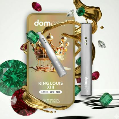 Dompen Lift All In One 1g King Louis