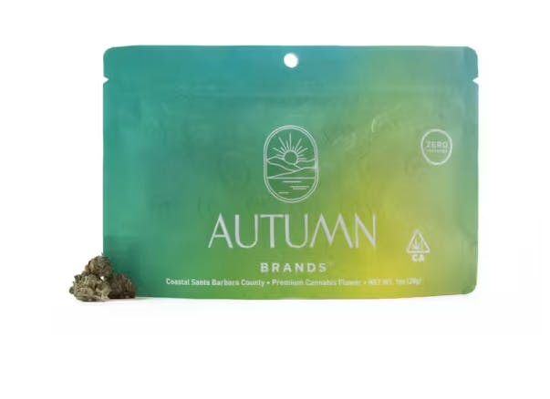 Autumn Brands: Tang Gang