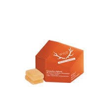 Wyld - Blood Orange 1:1 CBC Gummies 10pk - 100mg