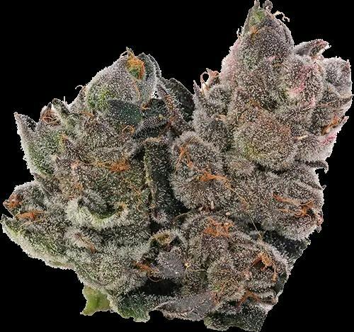 (the)Essence - Dosilato - 3.5g