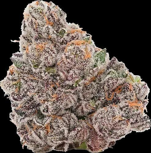 (the)Essence - Glitter Bomb - 3.5g