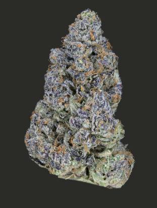 Growing Pains | D-Lish | Bulk Flower | REC