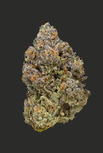 Growing Pains | Burnout OG | Bulk Flower | REC