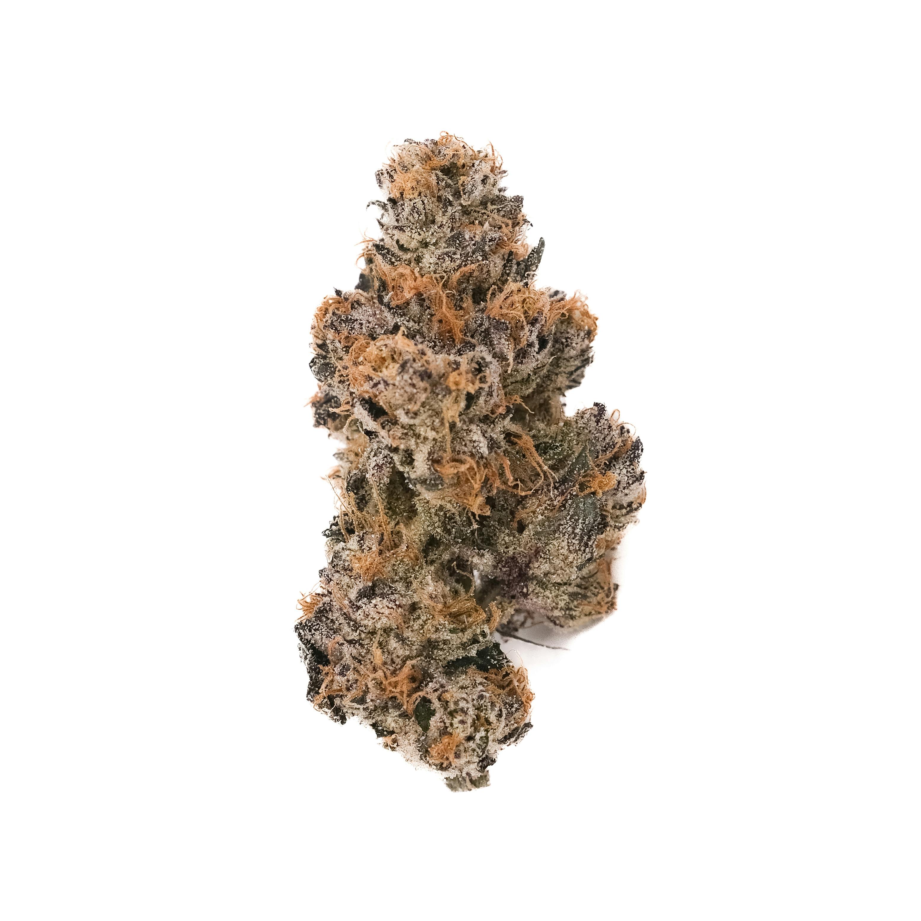 Bolato | 3.5g Flower | Flight Red Eye at Orange Cannabis Company