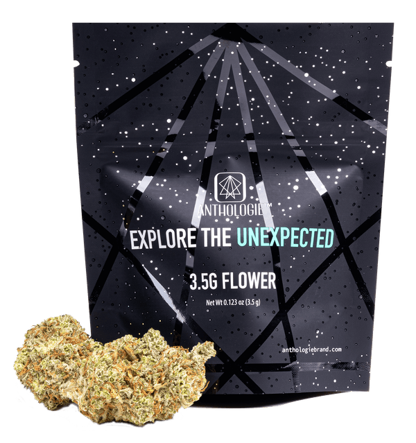 Glitter Bomb