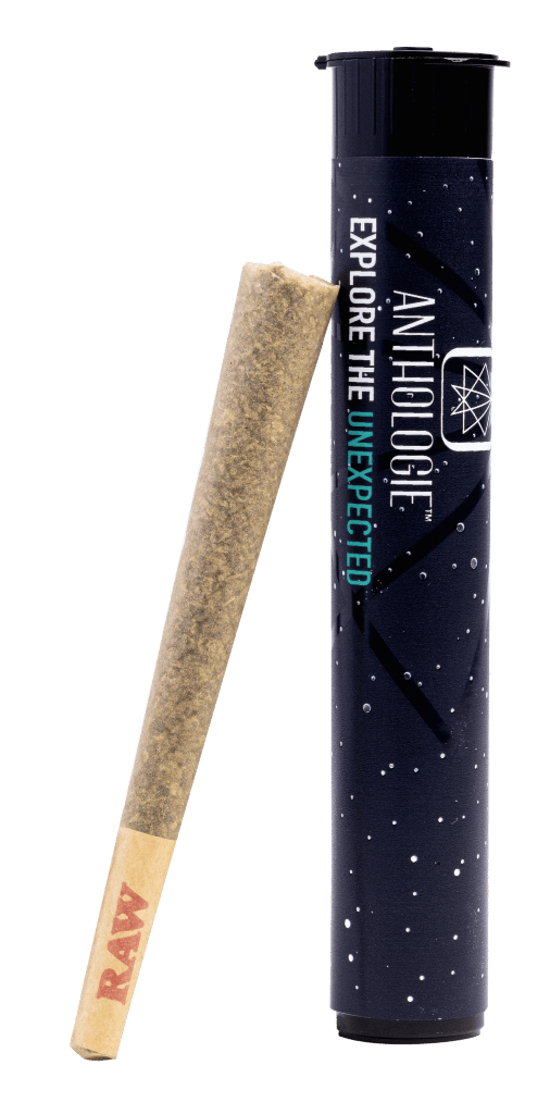 Underground Tangie