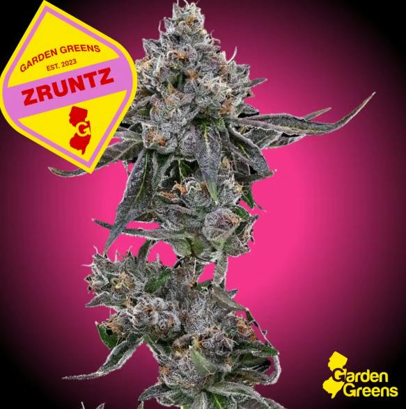 Zruntz 7g