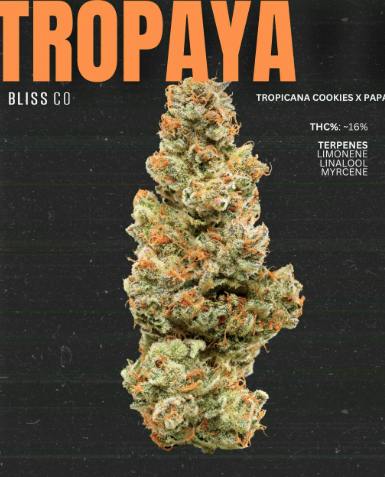 Tropaya 3.5g