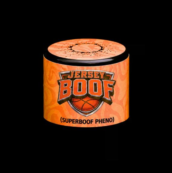 Jersey Boof Cold Cure