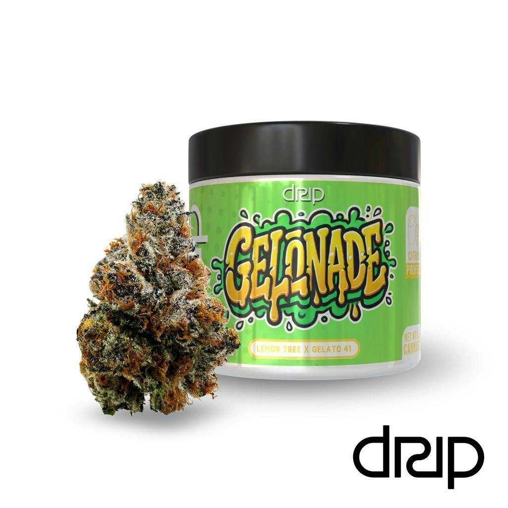 Drip Gelonade 3.5g Flower