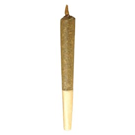 BUDDY BLOOMS Sativa Pre-Roll 1x