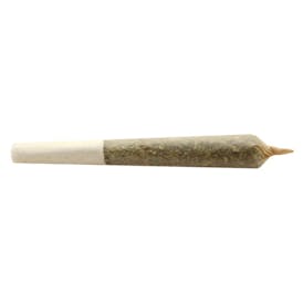 BUDDY BLOOMS Big Buddy Indica Pre-Roll 2x